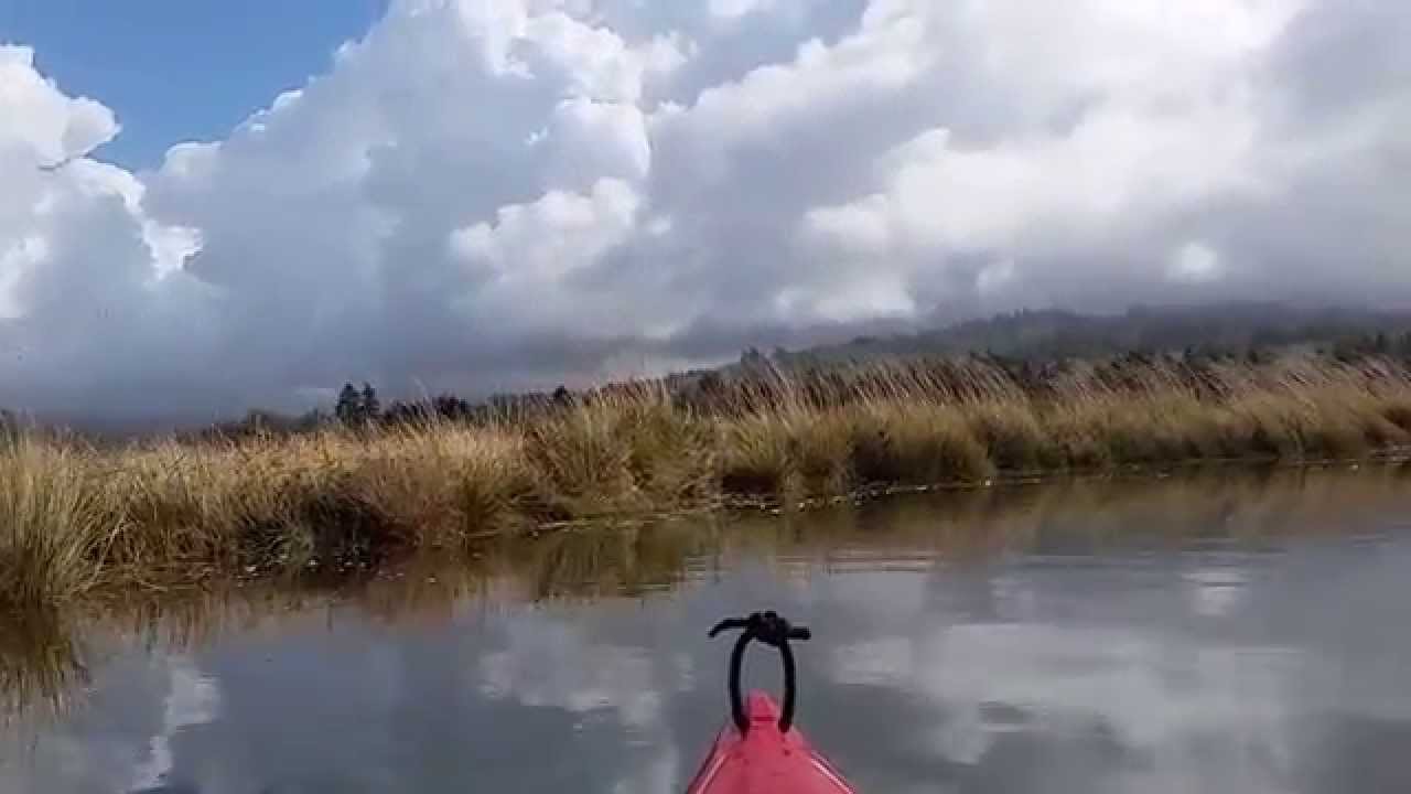 Salmon River Oregon wetland at high tide YouTube