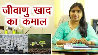 पूसा साइंटिस्ट डॉ.सीमा ने बताए जैव उर्वरक के कमाल  Bio fertilizer for High Yield || Organic Farming