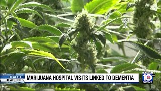 Possible link found between marijuana use, dementia