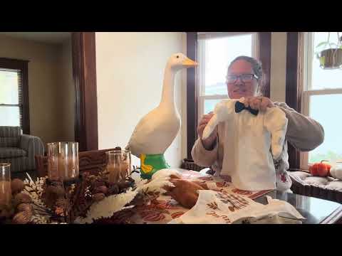Thanksgiving Porch Goose Outfit REVIEW | The CUTEST Little Chef!