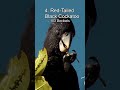 Top 5 Loudest Birds #shorts