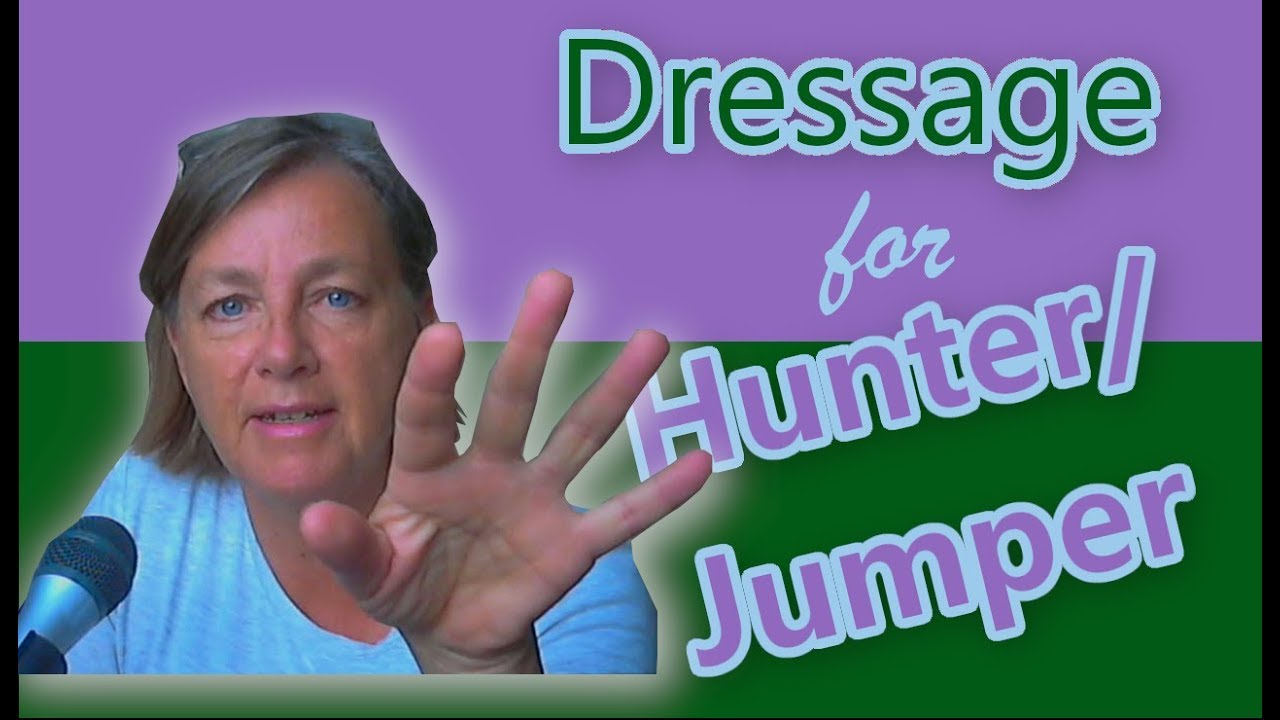 Horse Training Scale for Hunter Riders - How to Train Your Horse