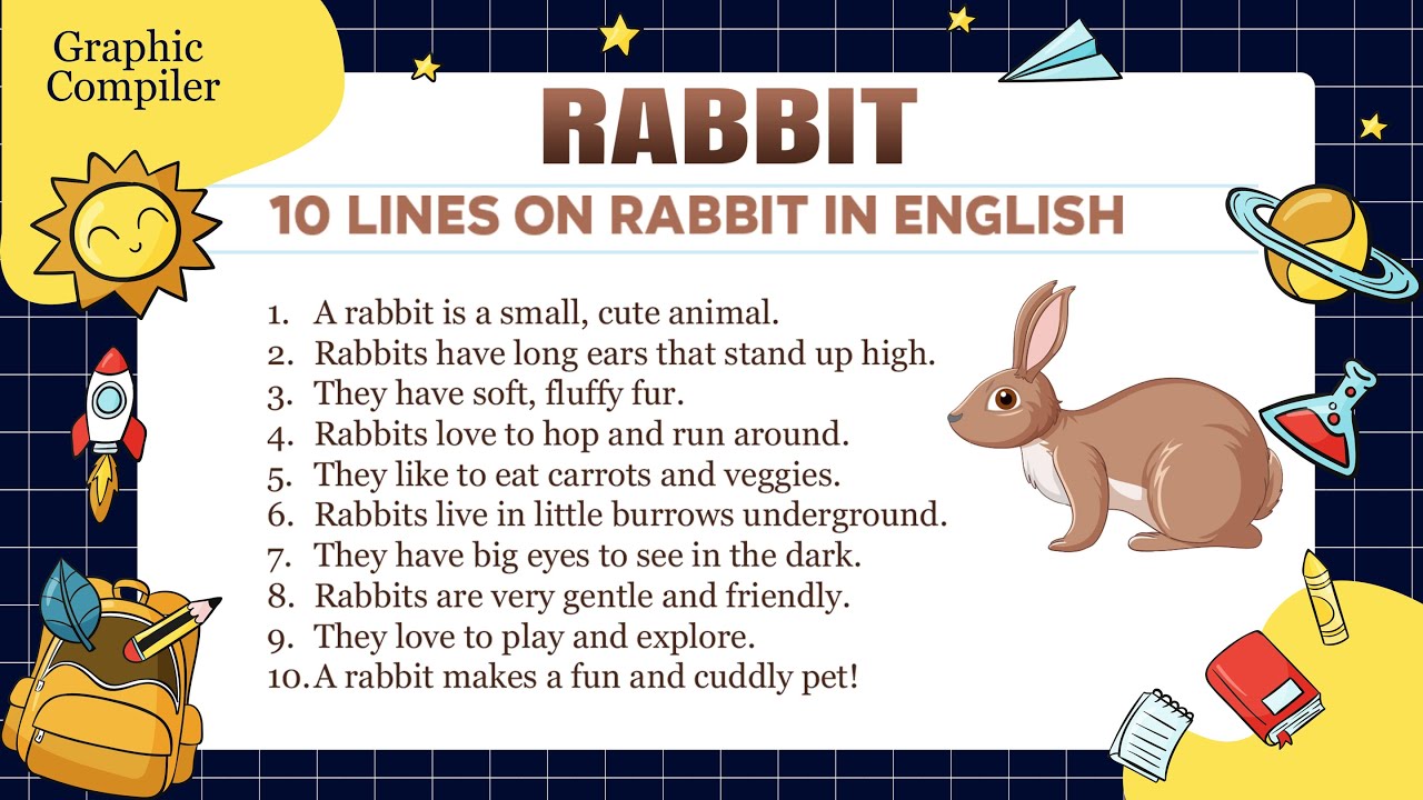 10 Lines on Rabbit in English | Rabbit Essay | Easy Essay for Kids - Graphic Compiler