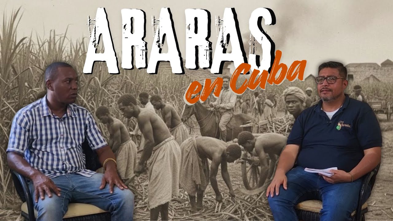 ARARAS EN CUBA!! Entrevista Alberto Junco. Leborisa