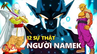 12 Facts About the Namekians: The Most Mysterious Race in the Universe