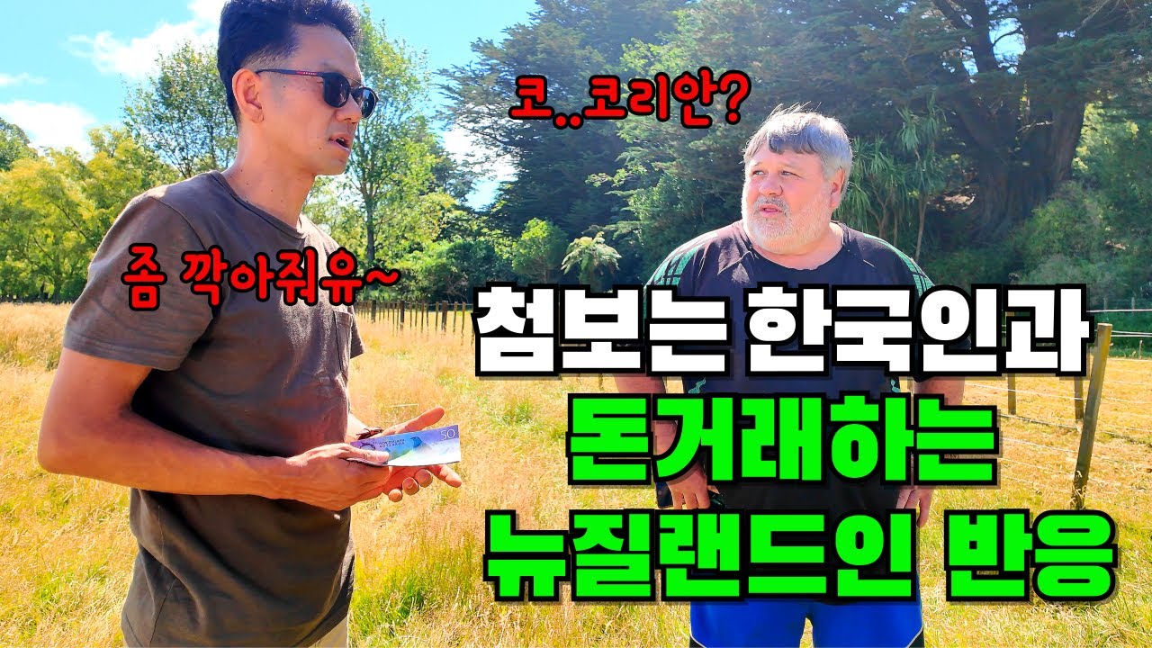 뉴질랜드에서 이것(?) 드디어 사러 왔습니다 (feat 가마솥 옛날통닭)