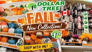 Fall New Arrival in Dollar Tree 2026 |🍁 Full Walking Tour Inside | Shop With Me