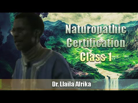 Dr. Llaila Afrika | Naturopathic Certification Course (Class 1) (22Jan05)(Excerpt)