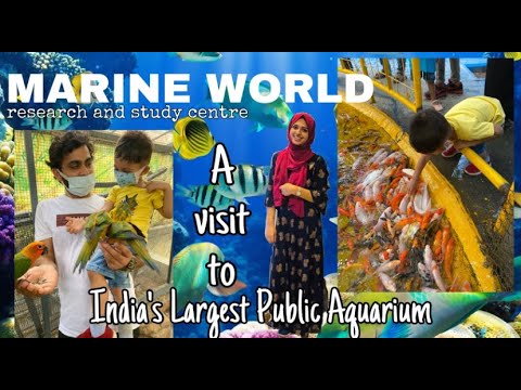 Marine world| A Visit to India's Largest Public Aquarium| Kerala| Panchavadi Beach| MUST WATCH!!!
