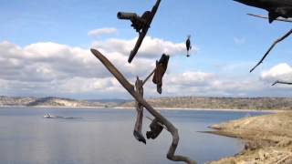Wind Chimes screenshot 5