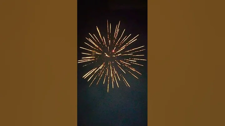 Firework💥Demo Whacky🌻Tobacky 9 Shots  3" By Brothers Fireworks "HUGE BREAKS"