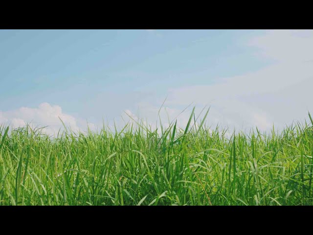 みんなの「何とも言えない気持ちになる.あるある」教えてくれ