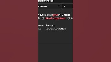 Why Photographers Should Use Bridge