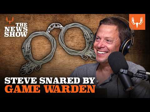 Stranded Whales, Cattle-Killing Wolves, and Maine Cleans Up Its Act | The News Show Ep. 903