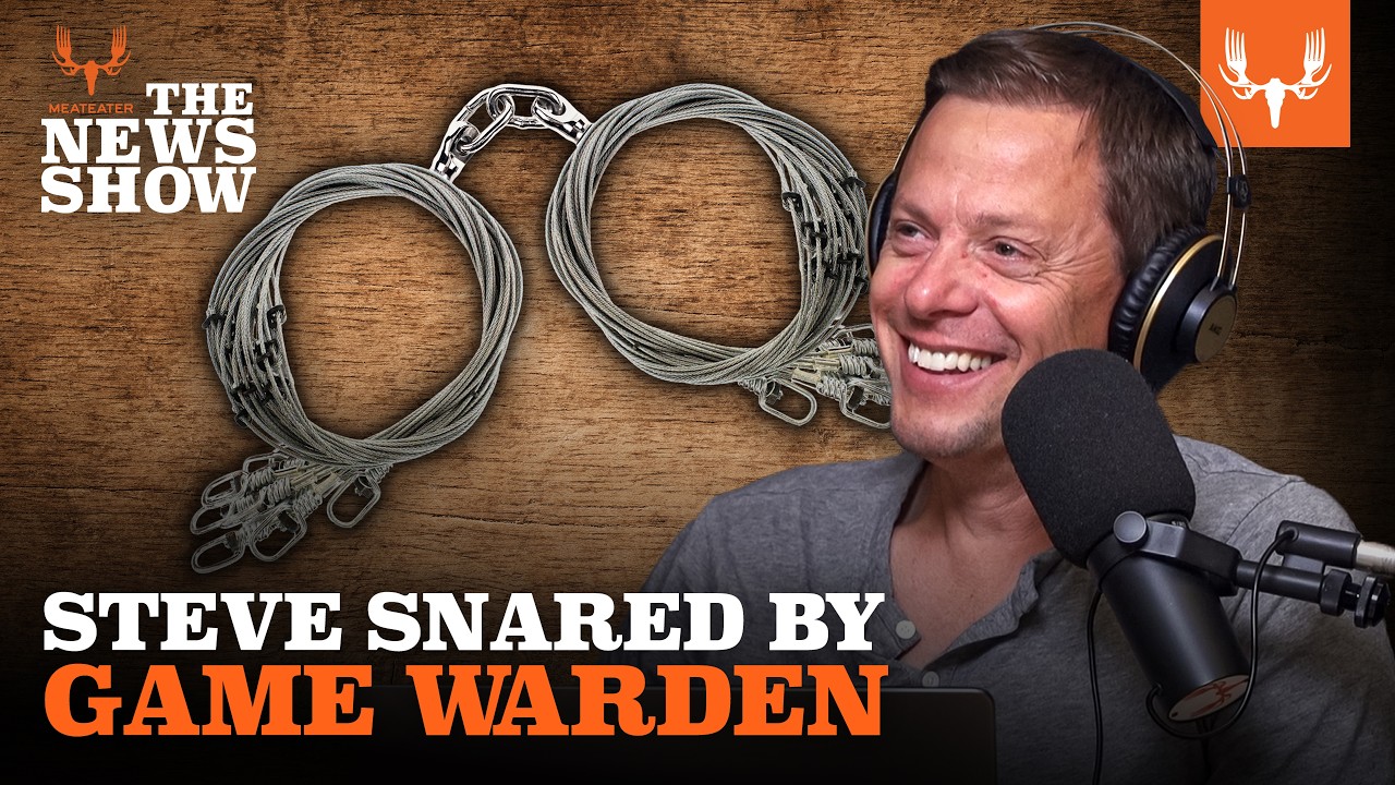 Stranded Whales, Cattle-Killing Wolves, and Maine Cleans Up Its Act | The News Show Ep. 903