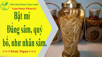 Bật mí Đẳng Sâm - quý - bổ như nhân sâm, được mệnh danh là nhâm sâm của người nghèo