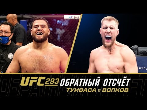 UFC 293 Обратный отсчет - Туиваса vs Волков