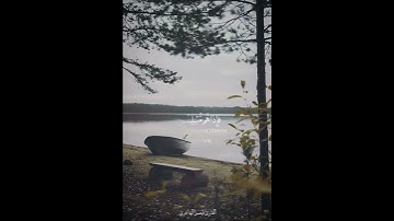 تلاوة جميلة من سورة الأنعام للقارئ فيصل الهاجري
