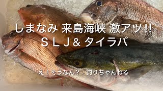 しまなみ 来島海峡 激アツ ＳＬＪ＆タイラバ　#slj #タイラバ #ハマチ #タイ #アコウ #lurefishing #offshorefishing #船釣り #fishing