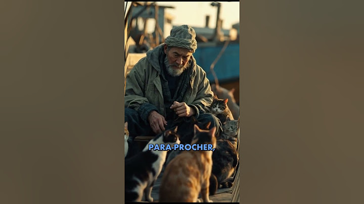 Aoshima: La Isla con Más Gatos que Personas 🐱🏝️