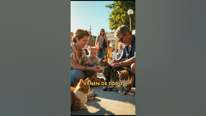 Aoshima: La Isla con Más Gatos que Personas 🐱🏝️