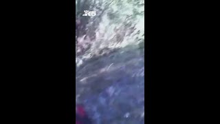 Assault suspects arrested in swamp