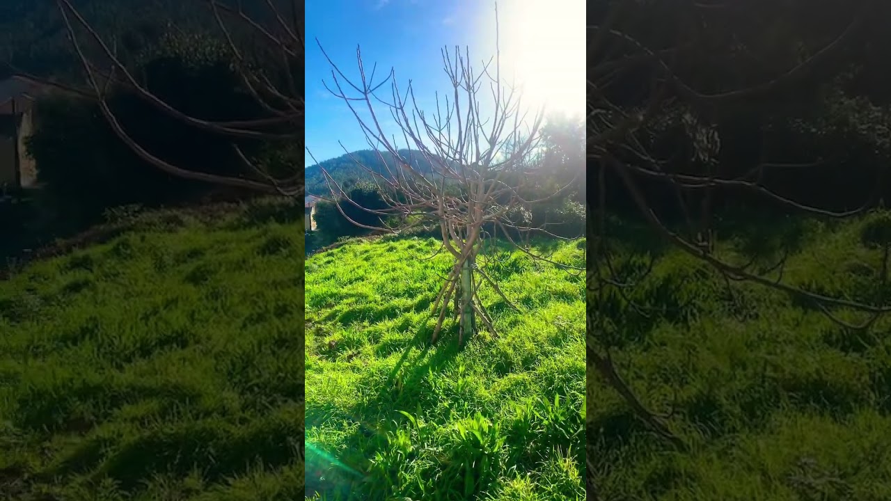 Maravillosa vida en A Pedra (Galicia)