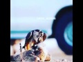 ياراعي الوفاء ياعلني في الزمن ما ابكيك 
