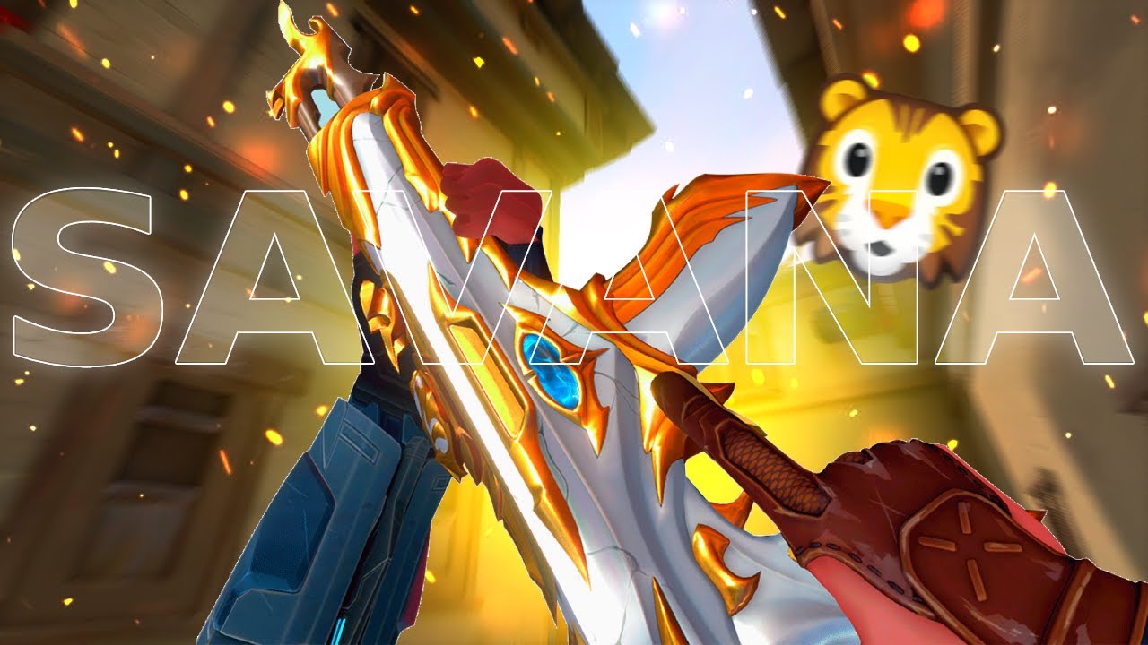 Savana 🦁 (Valorant Montage)