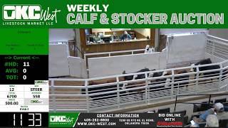 2,500+ Head Calf & Stocker Auction LIVE | OKC West Market | El Reno, OK | Feb 24, 2026