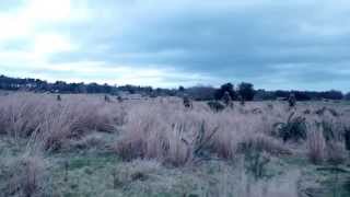 Flash Bang Test Footage With Explosion Sound Effects