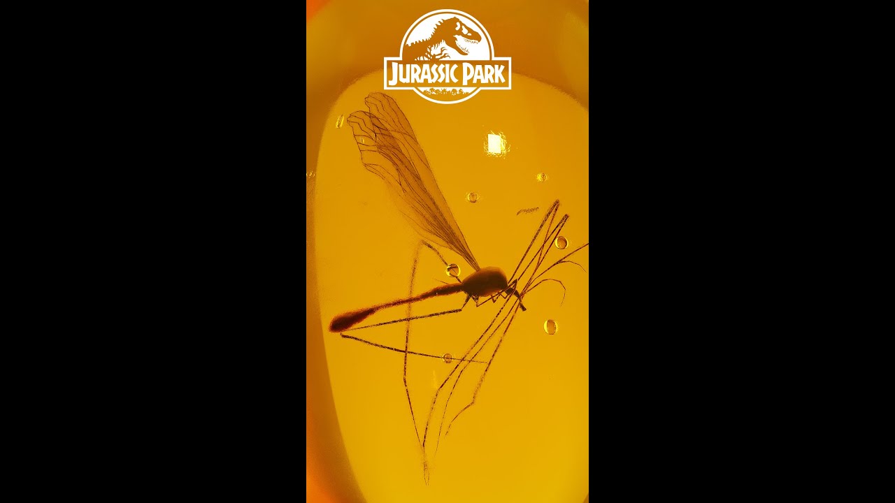 Jurassic Park John Hammond Mosquito Amber Cane | Blender 3D Work | DPKV