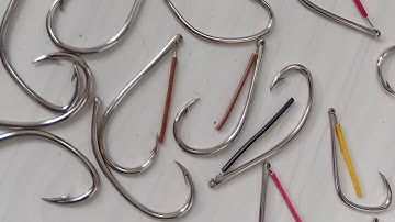 0913.260.614 zalo bán lưỡi câu nhấp cá chuối, cá lốc, lưỡi làm nhà mẫu nòng điện sông hồng thép 2,5