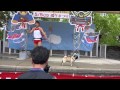 サバンナ八木と八木(犬)のお仕事  園田競馬場(兵庫県)  2014年5月5日14時15分