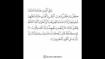 القارئ سعد الغامدي - سورة الأنعام - من الآية 146 إلى الآية 147