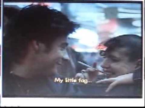 mon homme les nuits fauves