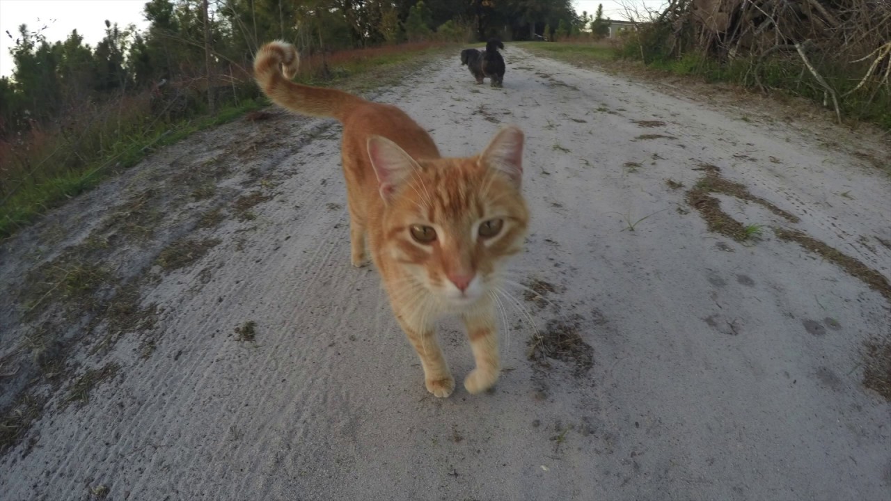 The Wonderful World of JEM Trailer 2