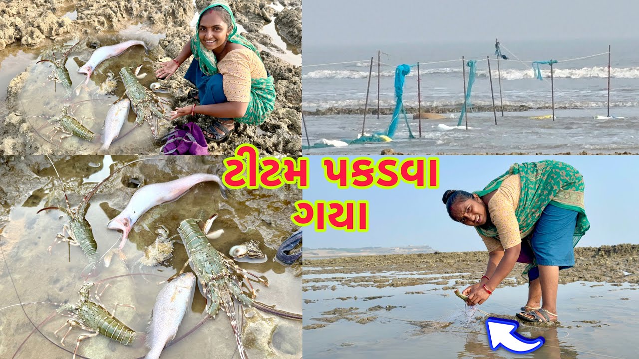 કરચલા દોરવા ગયા 🦀 lobster fishing 🎣 🦞 dariyai khedut@Dhanjinimoj 