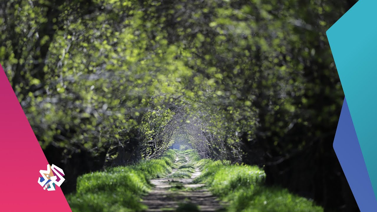وادي جهنّم كيف تحول إلى أسطورة الرعب - لبنان | الجار الغريب