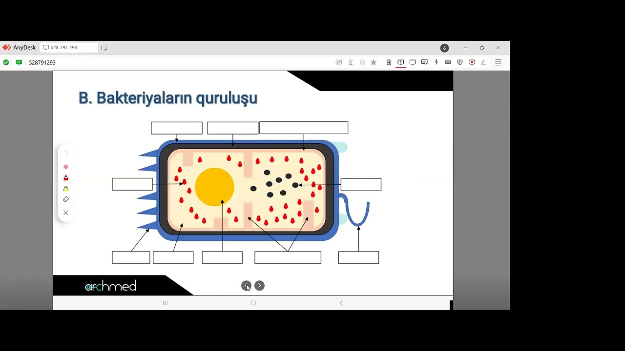 Express dərslər - Mikrobiologiya (1.1)