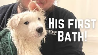 Watsons First Bath