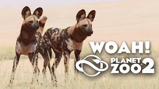 This REMODEL is just incredible! African Wilddog and more animals
