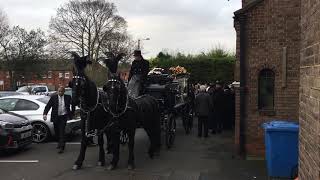 funeral horses and carriage