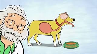 Martha Was An Average Dog 33