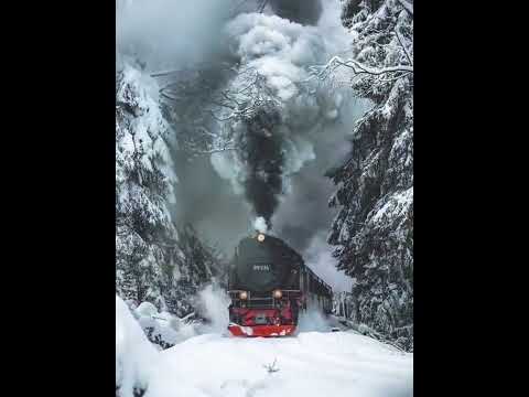 الشوارع حواديت 