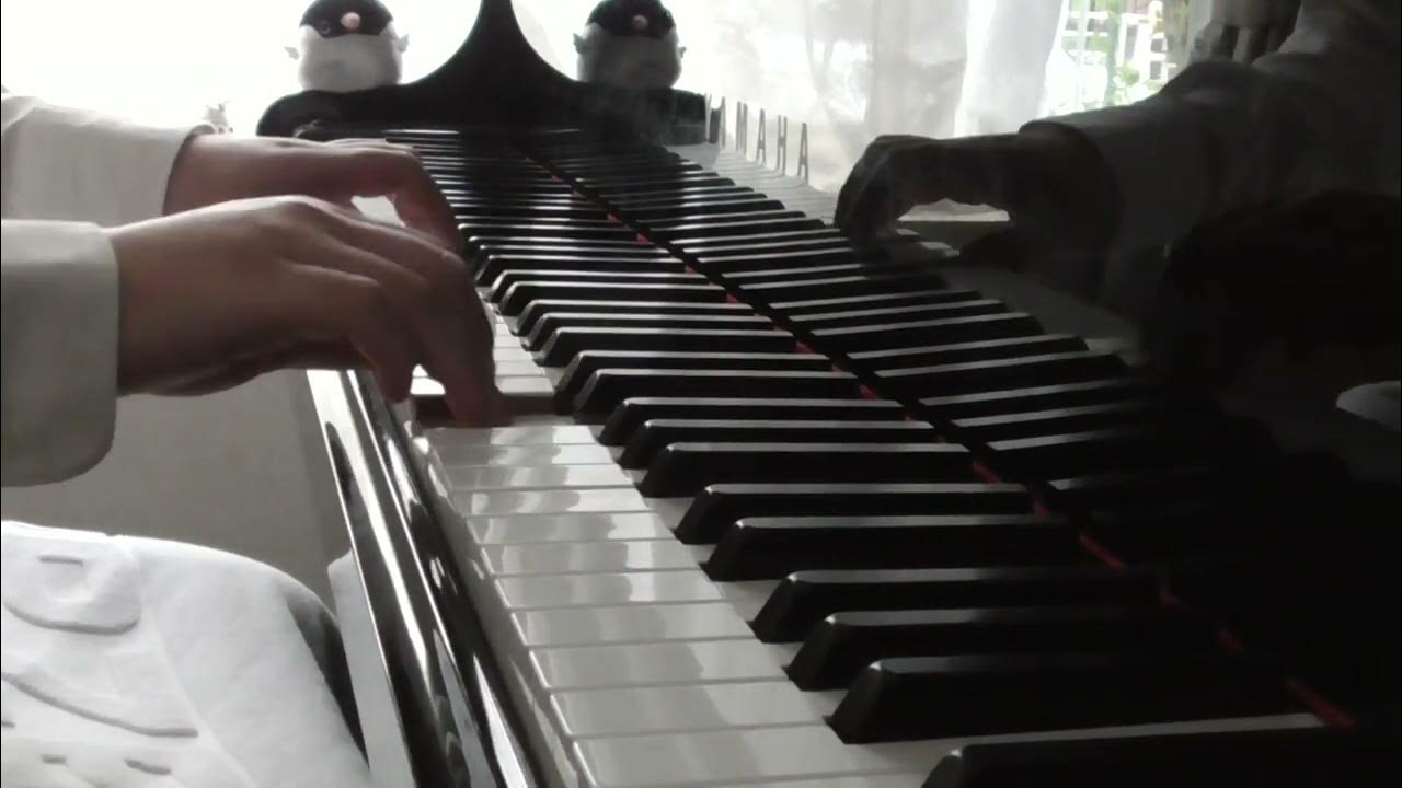 Mozart No.5 モーツァルト ピアノソナタ10番 1楽章 (K. 330 Sonata No.10) YouTube