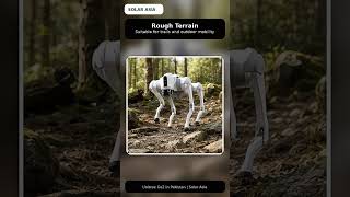 Unitree Go2 AI Robot Dog in Pakistan | Solar Asia Unitree Partner | Future Robotics Demo