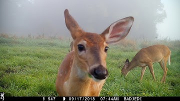 Browning Recon Force Advantage Video