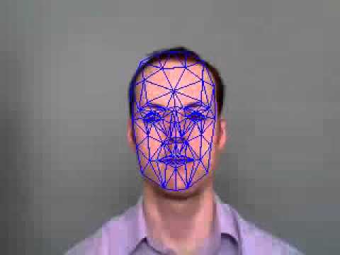 Facial Feature Detection