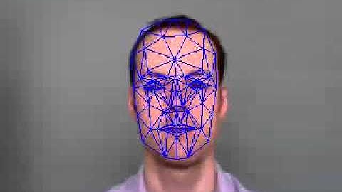 Facial Feature Detection